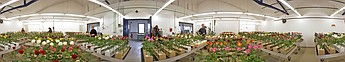 Fachgebiet Zierpflanzenbau - Haltbarkeitsraum (3)
